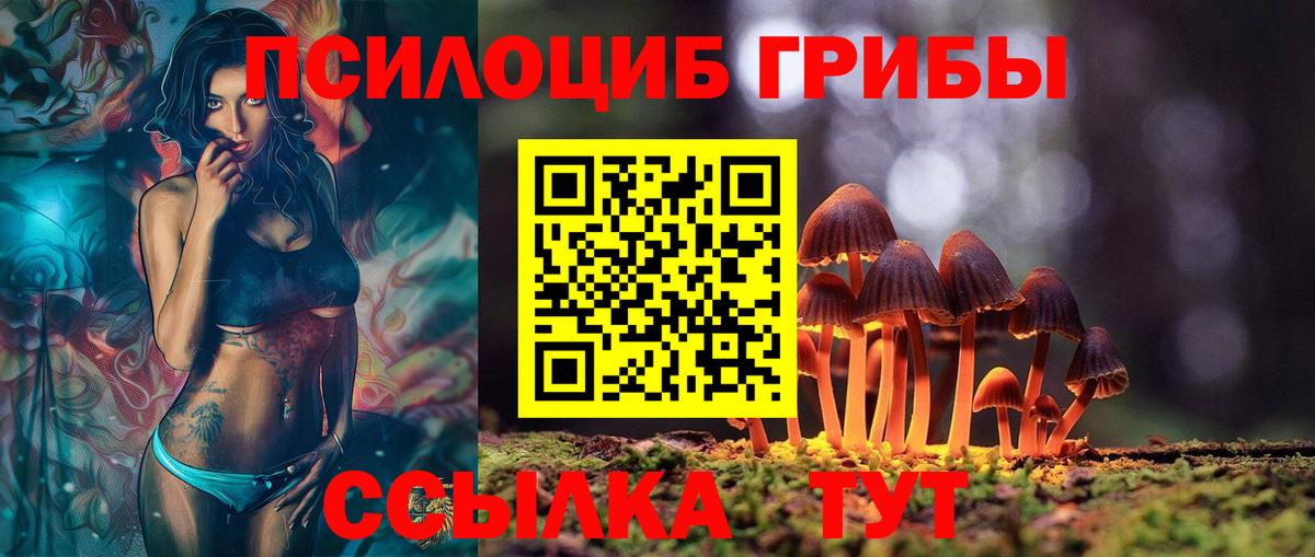 Прокопьевск  Галлюциногенные грибы мицелий  Галлюциногенные грибы MAGIC MUSHROOMS  Вход с VPN 