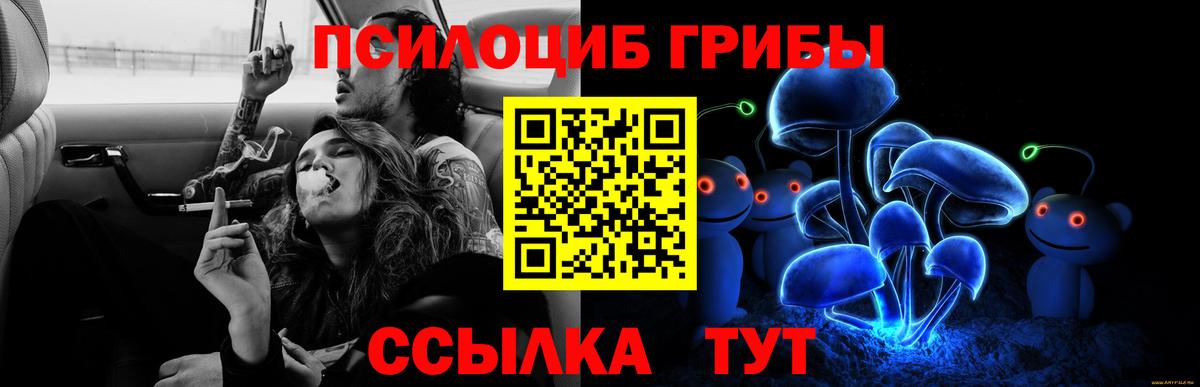 Псилоцибиновые грибы Psilocybe Прокопьевск